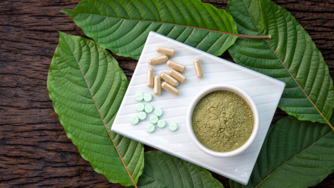 Kratom im Fokus: Pflanzliche Selbstfürsorge zwischen Tradition, Wirkung und Verantwortung Kratom im Fokus: Pflanzliche Selbstfürsorge zwischen Tradition, Wirkung und Verantwortung