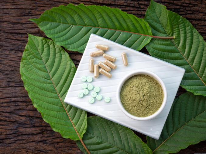 Kratom im Fokus: Pflanzliche Selbstfürsorge zwischen Tradition, Wirkung und Verantwortung